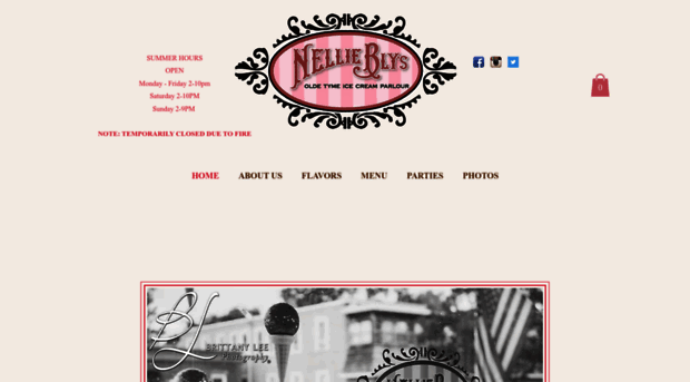 nellieblyicecream.com