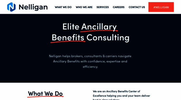 nelliganassociates.com