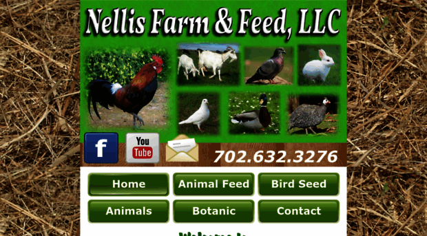 nellisfarm.com