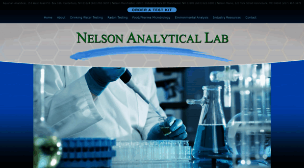 nelsonanalytical.com