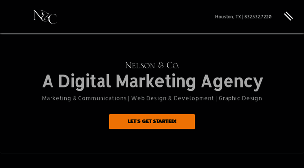 nelsonandco.net