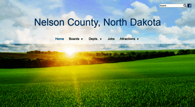 nelsonco.org