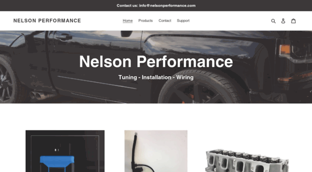 nelsonperformance.com