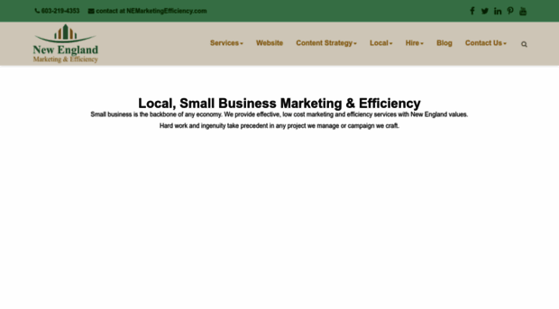 nemarketingefficiency.com