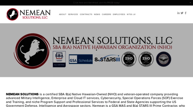 nemeansolutions.com