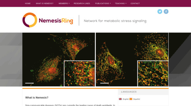 nemesis-ring.cl