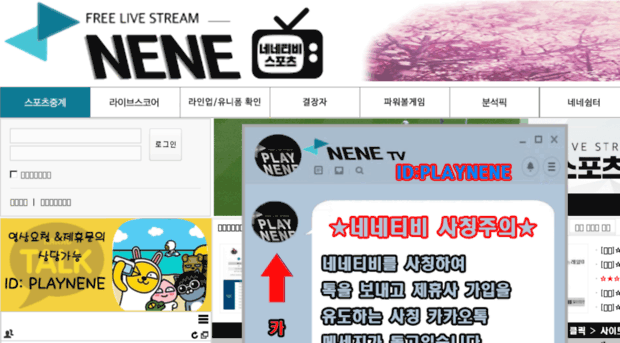 nenetv.com