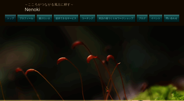 nenoki.com