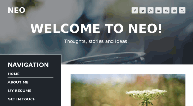 neo.sunflowertheme.com