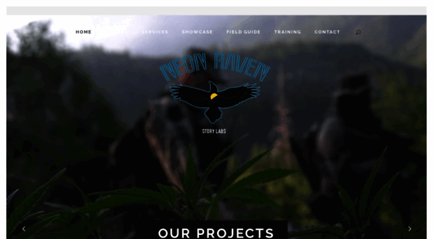 neonravenlab.com