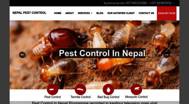 nepalpestcontrol.com