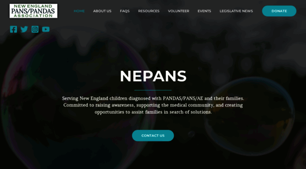 nepans.org