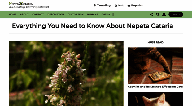 nepetacataria.org