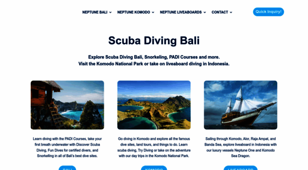 neptunedivingbali.com