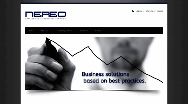 nereoconsulting.com