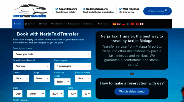 nerjataxitransfer.com