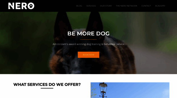 nerodogtraining.com