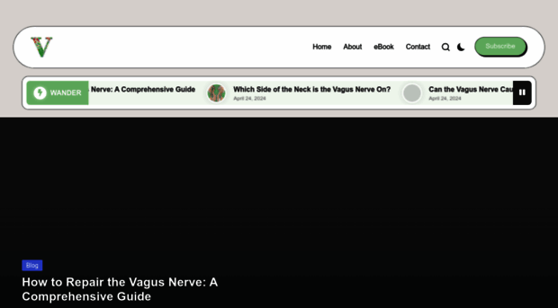 nervevagus.com