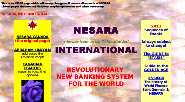 nesara.insights2.org