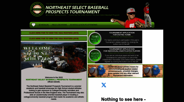 neselectbaseball.com