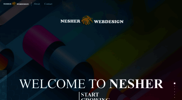 nesherwebdesign.com