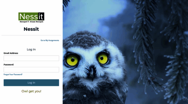 nessit.cyberhoot.com