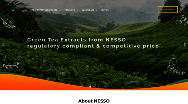 nesso.com