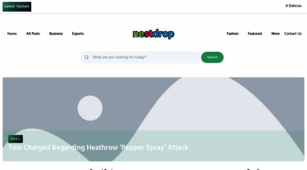 nestdrop.co.uk