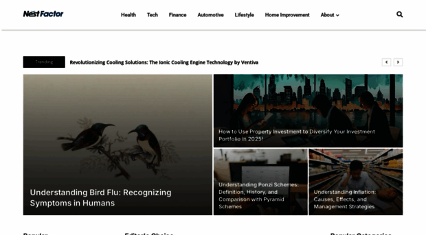 nestfactor.com