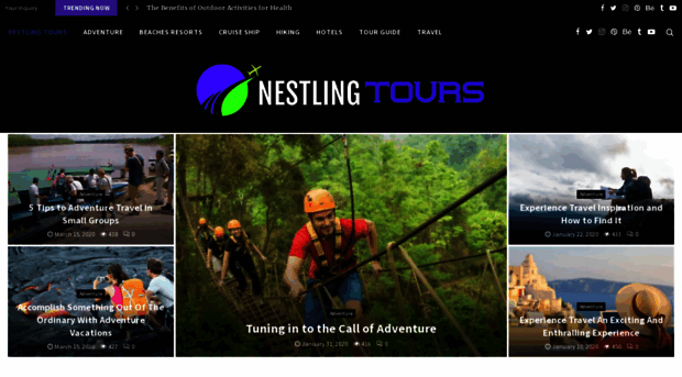 nestlingtours.com