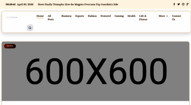 nestlogicx.com