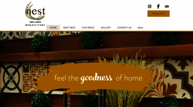 nestnanosuites.com