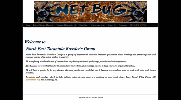 net-bug.net