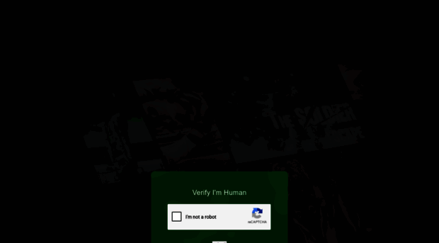 net22.cc - Verification I'm Human - NetMi... - Net 22
