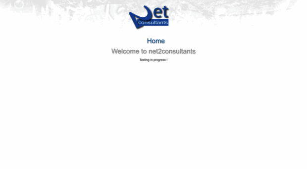 net2consultants.co.uk