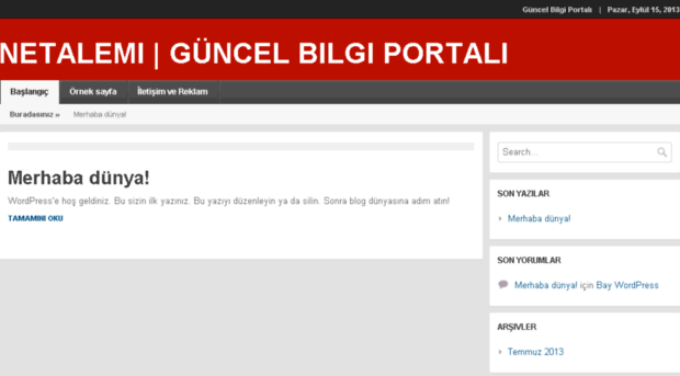 netalemi.net