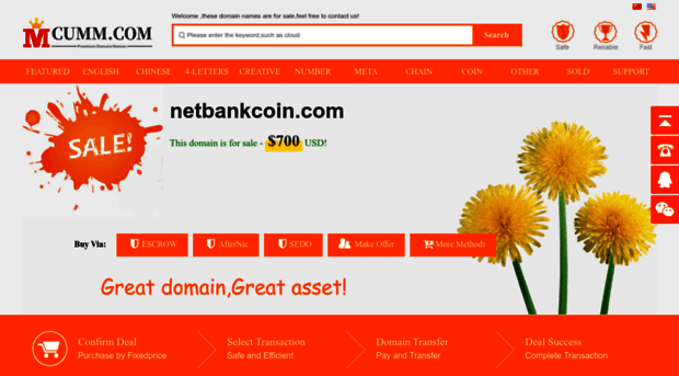 netbankcoin.com