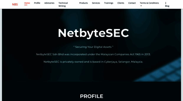 netbytesecurity.com