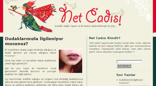 netcadisi.com