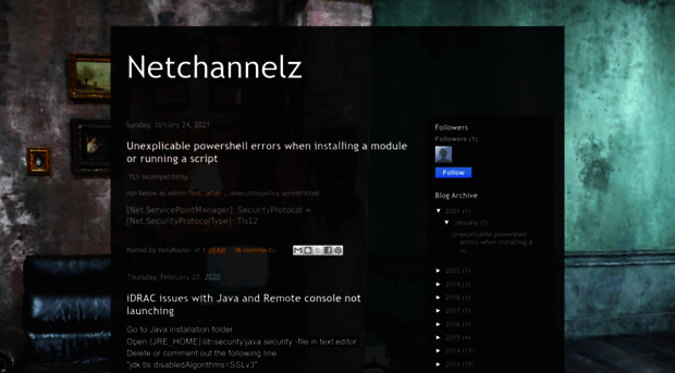 netchannelz.com