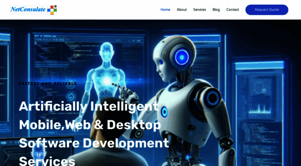 netconsulate.com