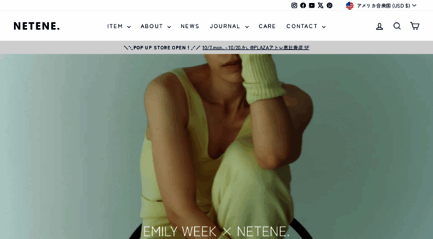 netene-s.com