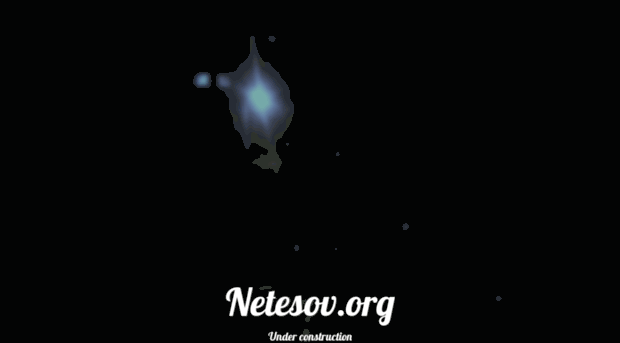 netesov.org
