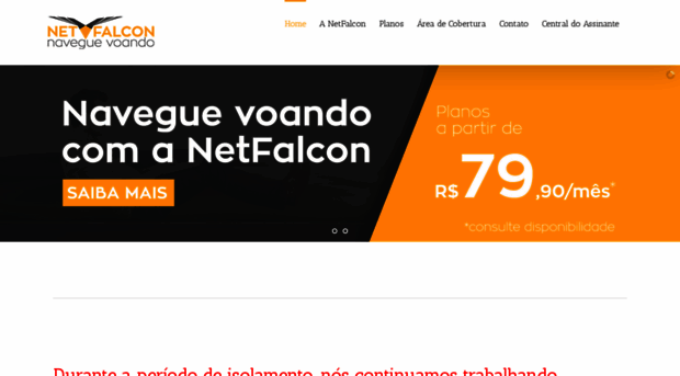 netfalcon.com.br