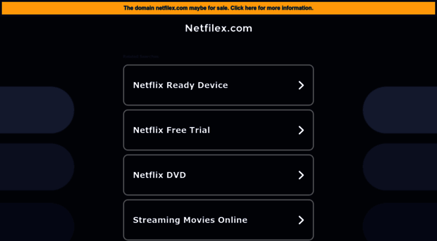 netfilex.com