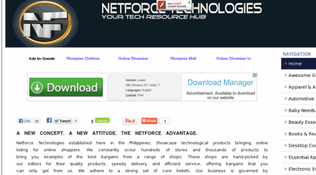 netforcetechnologies.net