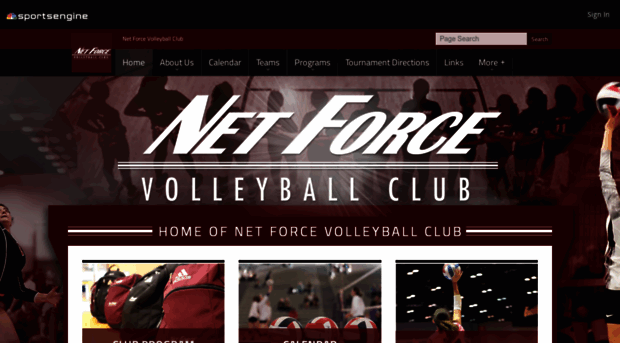 netforcevolleyball.com