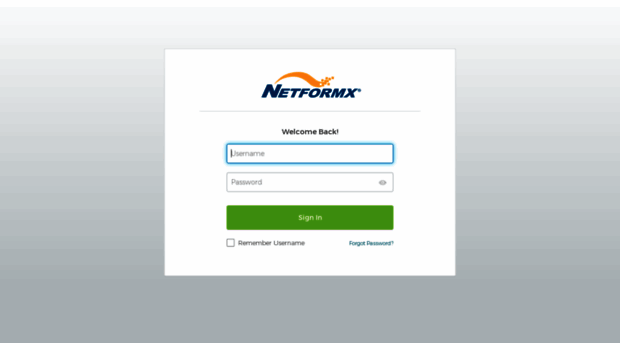 netformx.marketingautomation.services