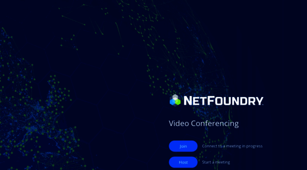 netfoundry.zoom.us