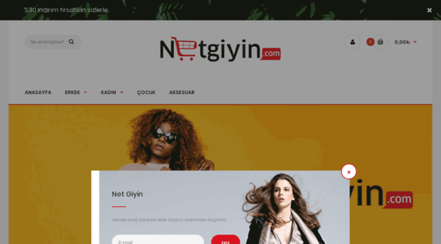 netgiyin.com